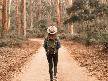 Walking With The Universe Meditation