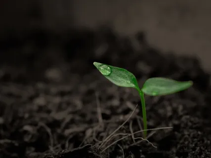 Walls Where There Used To Be Doors With Stephenie Zamora