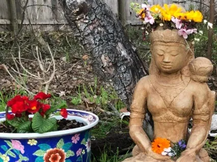 Wandering Mind As Addiction