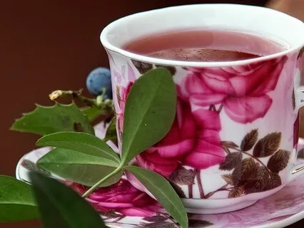 Wandering Through A Mystical Herb Garden