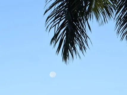 Waning Gibbous Moon Phase - Loving Kindness Meditation