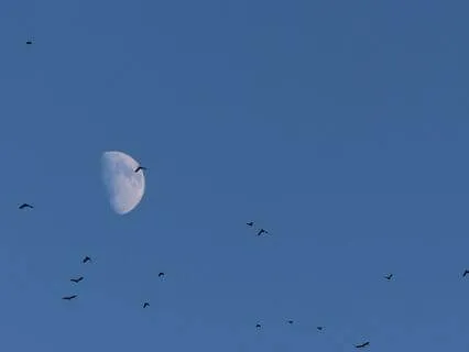 Waning Moon: Rest And Release