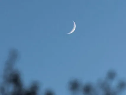 Waning Moon Surrender