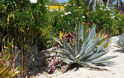 Want To Be Woke? Or Think You Are ?