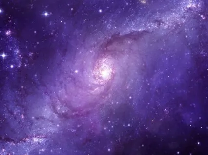 Wanting, Not Wanting: Mindful Of Our Relationship