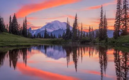 War Is The Continuation Of Violence In Each Human Being