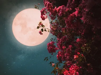 Warm Colors (Piano Music With Fireplace Sounds)