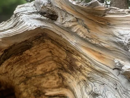 Warm Comforting Light Imagery