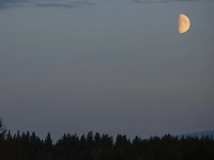 Warm Cradle (Piano With Fireplace Sounds)