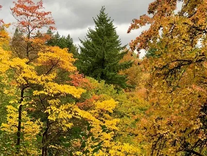 Warm, Melancholy Zone For Reflection And Acceptance