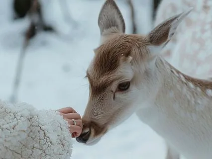 Warm Music for Cozy Rest