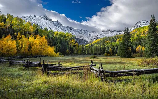 Warm Openhearted Welcome