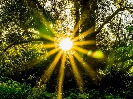 Warmth Of The Sun Meditation With Poem By Hafiz