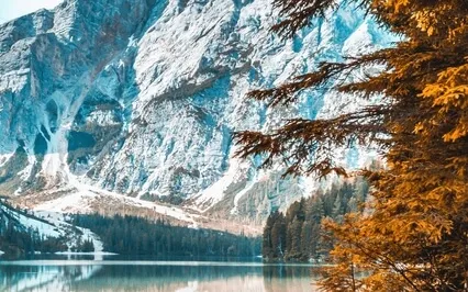 Warning: Instant Pineal Gland Activation - Open Third Eye