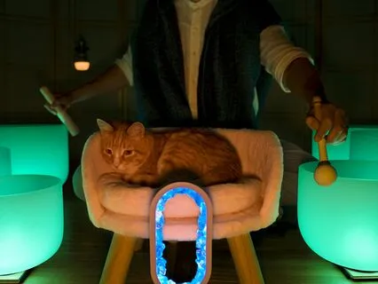 Warning Very Powerful Sleep Sounds