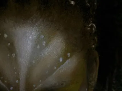 Warrior Power Meditation