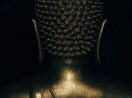 Warrior Within | (W/ Sonic Yogi) | Move, Embody, Energy Flow