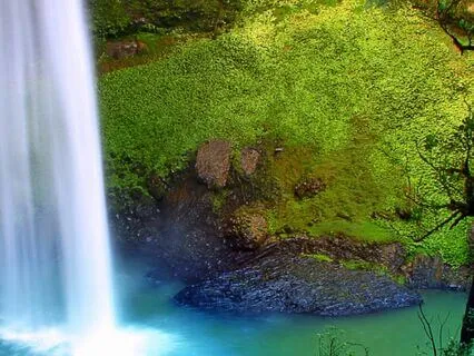 Wash Away: Affirmations For Letting Go