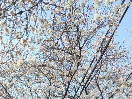 Wash Away Anxiety: Heavenly Kalimba Lullaby