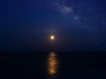 Wash Away Your Worries, Fall Asleep Quickly