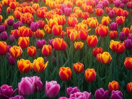 Wash Of Color Practice