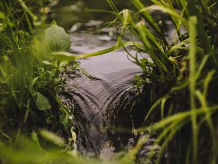 Washing Away Anxiety — A 7-Minute Reset