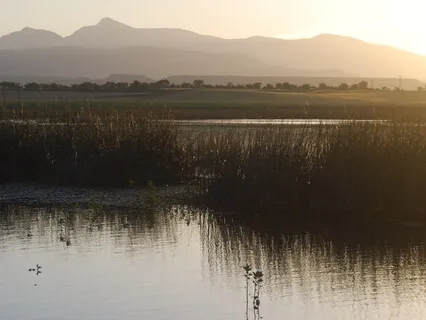 Washing Off The Day - Perfect For Reducing Stress