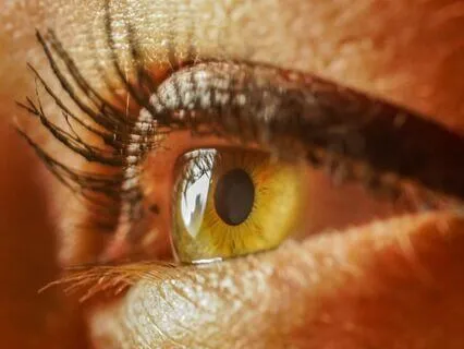 Watchfulness - A Mindful Jewish Moment