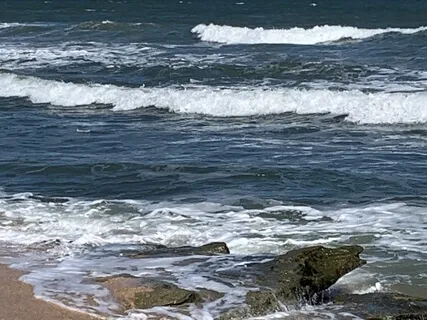 Watching From The Heart: Quieting The Mind