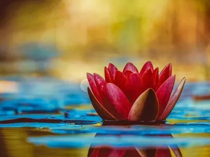 Watching Thoughts To Calm Anxiety