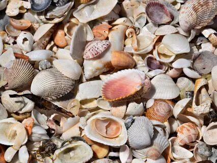 Watching Your Thoughts Drift By