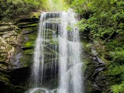 Waterfall In The Forest Relaxing Sound For Good Night