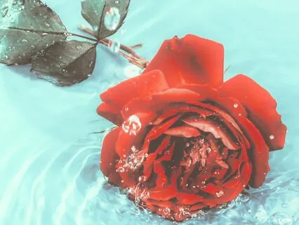 Water Blessing Meditation For Healing And Relaxation