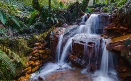 Water Cleansing Meditation