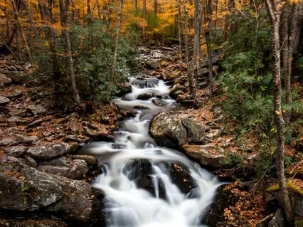 Water Creek Mindfulness Meditation