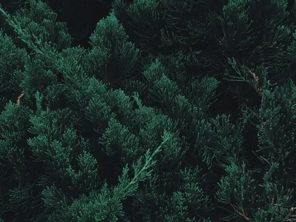 Water Deep Relaxation