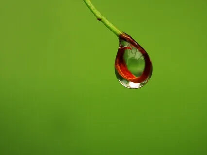 Water Droplet Meditation