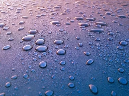 Water Droplets 