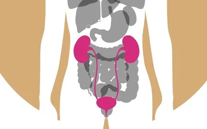 Water Element: Awareness Of Kidney & Bladder Energy