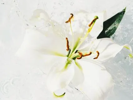 Water Element & Crown Chakra: Purification & Divine Light