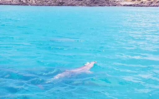 Water Element - Flow Through Resistance