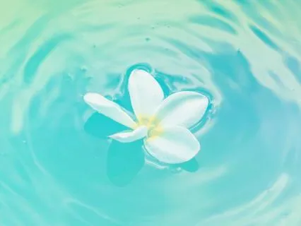 Water Element & Heart Chakra: Deep Heart Healing & Recovery