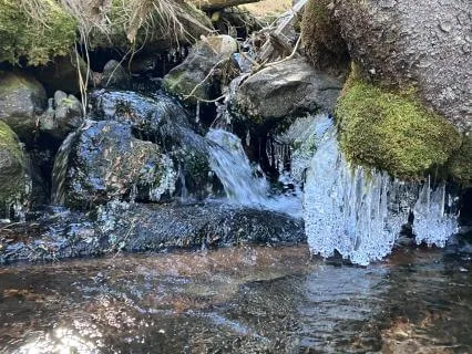 Water Element Meditation:  Flow Vitality Through The Kidneys