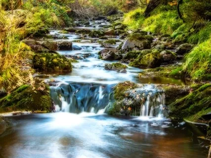 Water Element Peaceful Meditation Journey