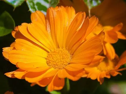 Water Element & Solar Plexus Chakra: Self-Love & Confidence