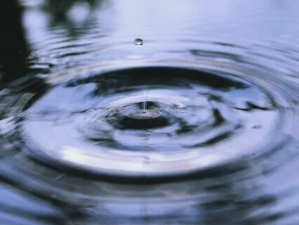 Water Element Yoga Nidra