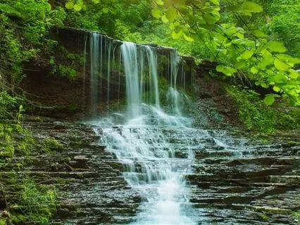 Water Elemental Instrumental