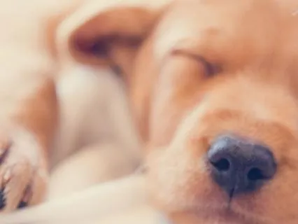 Water for Deep Sleep - Continuous Nightlong Rest