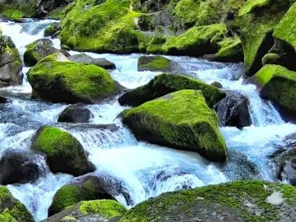 Water Is Abundant: An Affirmative Prayer & Blessing