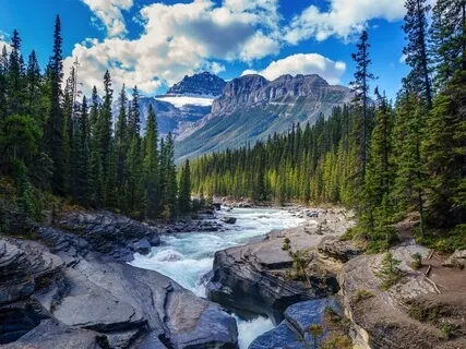 Water Is Life  |  Calming Nature Sounds With Music